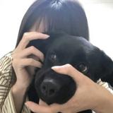 由 bryan.wei (刊登 ID 1384627906，圖片 1) 提交，位於 的 (類別：)，說明：。