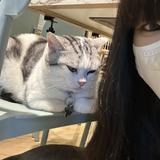 (分類:)位於 。 由 hy1113 提交(商品編號 1467071959,圖片 1)。簡介: 。