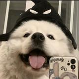（分類：）位於 。 由 ycvhs 提交（商品編號 1379259194，圖片 1）。簡介： 。