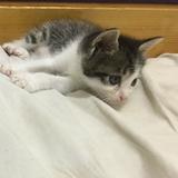 (Category: ) located in . Submitted by justletit (Listing ID 1305733623, Image 1). Description: .