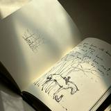 由 bdowmagai (刊登 ID 1300631328，圖片 1) 提交，位於 的 (類別：)，說明：。