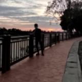 (Category: ) located in . Submitted by iman232320 (Listing ID 1457449678, Image 1). Description: .