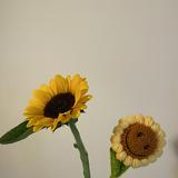 （分類：）位於 。 由 sunflower_moon 提交（商品編號 1318239467，圖片 1）。簡介： 。
