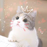 （分類：）位於 。 由 ihatestudy 提交（商品編號 1382922223，圖片 1）。簡介： 。