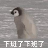 由 hasu_ (刊登 ID 1368481852，圖片 1) 提交，位於 的 (類別：)，說明：。