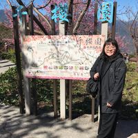 由 peggy4545m53905 (刊登 ID 1381238210，圖片 1) 提交，位於 的 (類別：)，說明：。
