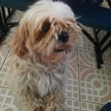 (Category: ) located in . Submitted by treasurebest (Listing ID 1332073572, Image 1). Description: .