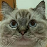 (Category: ) located in . Submitted by mechaud (Listing ID 1371154204, Image 1). Description: .