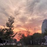 (Category: ) located in . Submitted by 73489 (Listing ID 1384978757, Image 1). Description: .