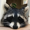 (Category: ) located in . Submitted by happyduck21 (Listing ID 1451393465, Image 1). Description: .