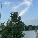 (Category: ) located in . Submitted by shan7373 (Listing ID 1354290207, Image 1). Description: .