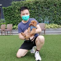 (分類:)位於 。 由 stampzman 提交(商品編號 1447648088,圖片 1)。簡介: 。