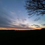 (Category: ) located in . Submitted by pauline4208 (Listing ID 1380568653, Image 1). Description: .