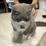 （分類：）位於 。 由 dayday_hoisum 提交（商品編號 1300982498，圖片 1）。簡介： 。