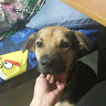 (Category: ) located in . Submitted by ftwentytwoc (Listing ID 1329174859, Image 1). Description: .