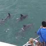 (Category: ) located in . Submitted by livewater_cbef29 (Listing ID 1305586256, Image 1). Description: .