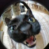 (Category: ) located in . Submitted by mintseller (Listing ID 1377444661, Image 1). Description: .