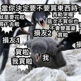 （分類：）位於 。 由 jeffcheungsk 提交（商品編號 1372302188，圖片 1）。簡介： 。