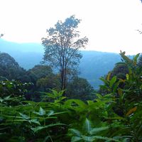 (Category: ) located in . Submitted by sasi_vas (Listing ID 1349754999, Image 1). Description: .