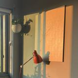 (Category: ) located in . Submitted by sabr7 (Listing ID 1437861885, Image 1). Description: .