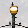 (Category: ) located in . Submitted by padhli.23 (Listing ID 1307204490, Image 1). Description: .