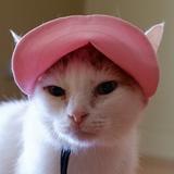 (Category: ) located in . Submitted by izzysfinds (Listing ID 1382601272, Image 1). Description: .