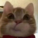 (分類:)位於 。 由 ctcdavid 提交(商品編號 1380232789,圖片 1)。簡介: 。