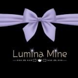（分類：）位於 。 由 luminamine.hk 提交（商品編號 1116622782，圖片 1）。簡介： 。