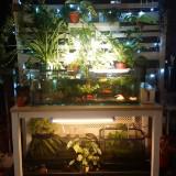 (Category: ) located in . Submitted by moreplantplease (Listing ID 1351587596, Image 1). Description: .