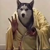 由 yuhsuan512 (刊登 ID 1368447891，圖片 1) 提交，位於 的 (類別：)，說明：。