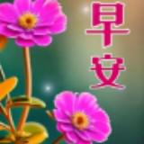 （分類：）位於 。 由 20.17 提交（商品編號 1372034211，圖片 1）。簡介： 。