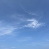 (Category: ) located in . Submitted by summerrecreational (Listing ID 1449812063, Image 1). Description: .