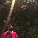 (Category: ) located in . Submitted by lianggege (Listing ID 1368894449, Image 1). Description: .