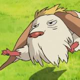 （分類：）位於 。 由 belo_9 提交（商品編號 1381414516，圖片 1）。簡介： 。