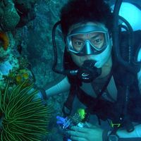 （分類：）位於 。 由 simoncmas 提交（商品編號 1372186509，圖片 1）。簡介： 。