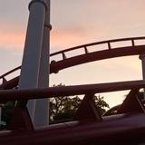 (Category: ) located in . Submitted by rollercoasterclothes (Listing ID 1384908186, Image 1). Description: .