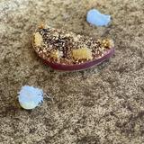 （分類：）位於 。 由 happy047883 提交（商品編號 1231671180，圖片 1）。簡介： 。