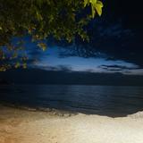 (Category: ) located in . Submitted by shiwanthika123. (Listing ID 1420079467, Image 1). Description: .