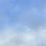 （分類：）位於 。 由 igshopseller 提交（商品編號 1254329300，圖片 1）。簡介： 。