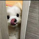 (Category: ) located in . Submitted by lforlucy (Listing ID 1377592095, Image 1). Description: .