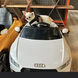 （分類：）位於 。 由 baobao_daodao 提交（商品編號 1358359932，圖片 1）。簡介： 。