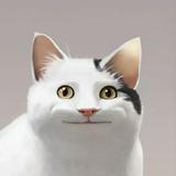由 jocelyn_h (刊登 ID 1383831326，圖片 1) 提交，位於 的 (類別：)，說明：。
