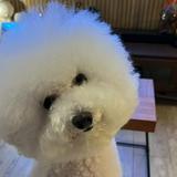 (分類:)位於 。 由 mmsharon518 提交(商品編號 1439272557,圖片 1)。簡介: 。