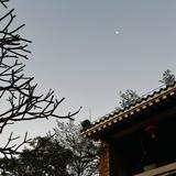 (分類:)位於 。 由 euniceauau 提交(商品編號 1466085682,圖片 1)。簡介: 。