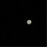 (Category: ) located in . Submitted by helladelaide (Listing ID 1440811512, Image 1). Description: .