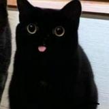 （分類：）位於 。 由 peetaaaaa 提交（商品編號 1381180345，圖片 1）。簡介： 。