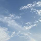 (Kategori: ) berada di . Dikirim oleh rosechemtrail (ID iklan 1374807380, Gambar 1). Deskripsi: .