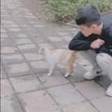 由 kma6282638643 (刊登 ID 1380490294，圖片 1) 提交，位於 的 (類別：)，說明：。