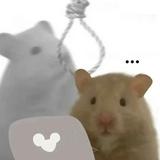 （分類：）位於 。 由 kiraaakmks 提交（商品編號 1385925832，圖片 1）。簡介： 。