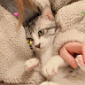 由 girl0112dd40036 (刊登 ID 1366365261，圖片 1) 提交，位於 的 (類別：)，說明：。